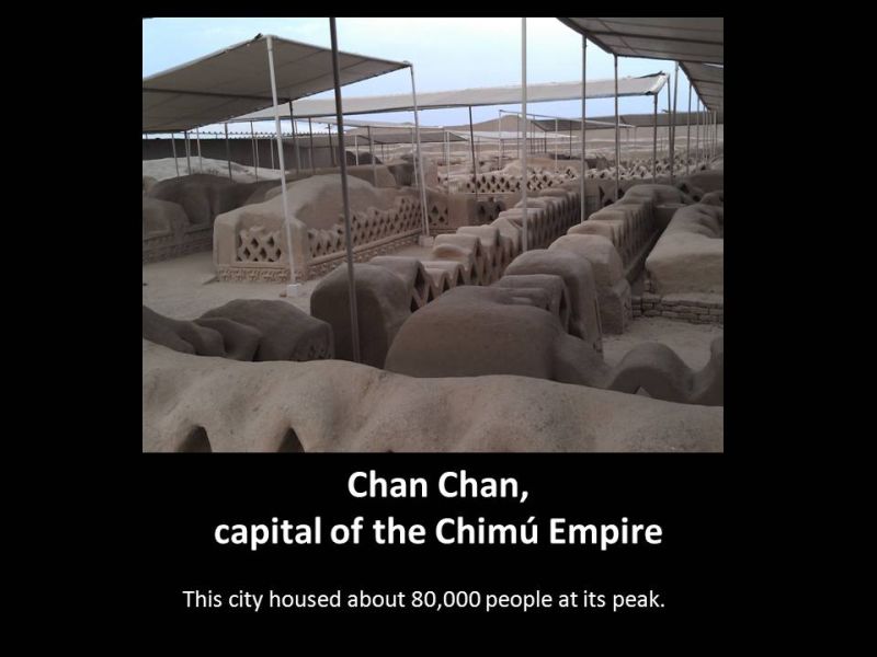 Chim Empire