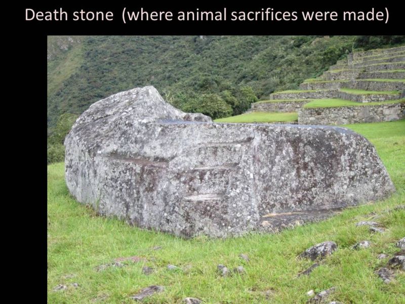 Machu Picchu