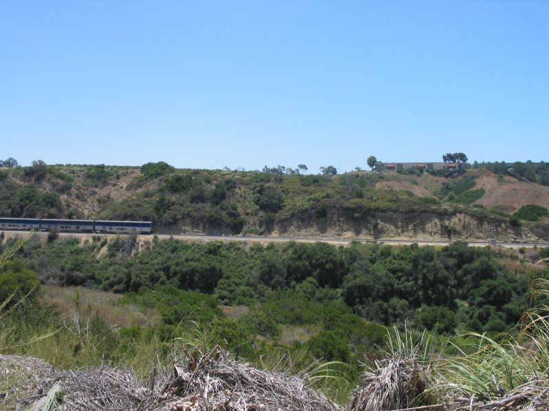 Northbound Surfliner